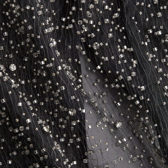 NWT H&M Limited edition Holiday 2024 collection Women Embellished Organza skirt - Picture 6 of 9